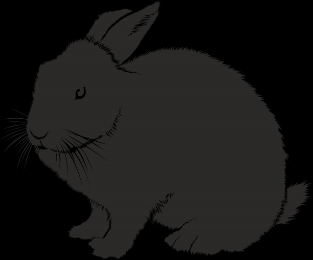 El Conejo